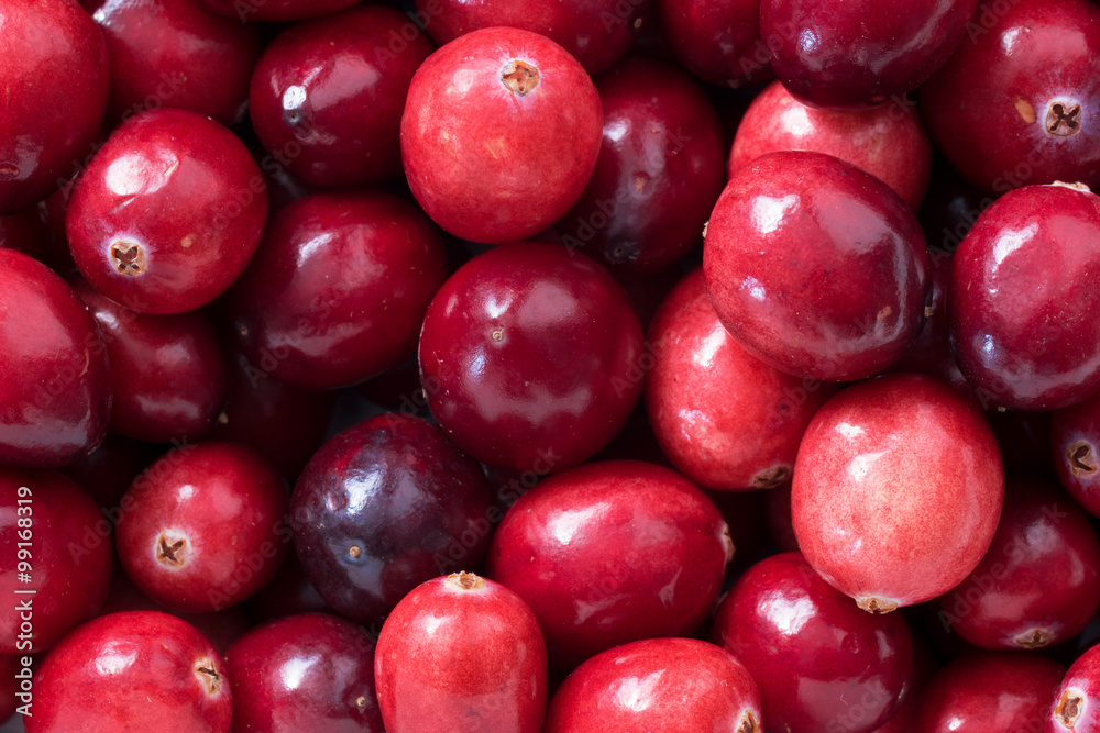 Preiselbeeren - Cranberry Preiselbeeren - Cranberry
