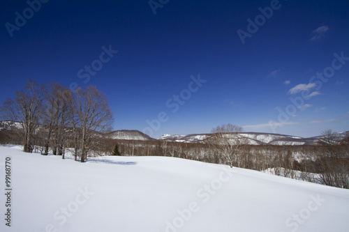 雪原と青空