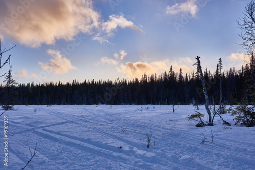 Snowmobile tracks in snow.
