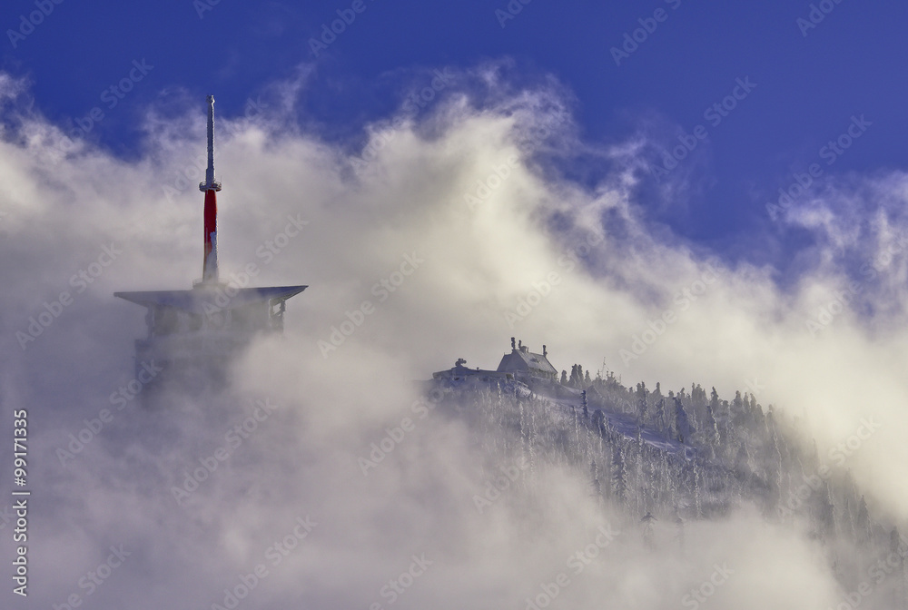 Winter landscape Winter landscape