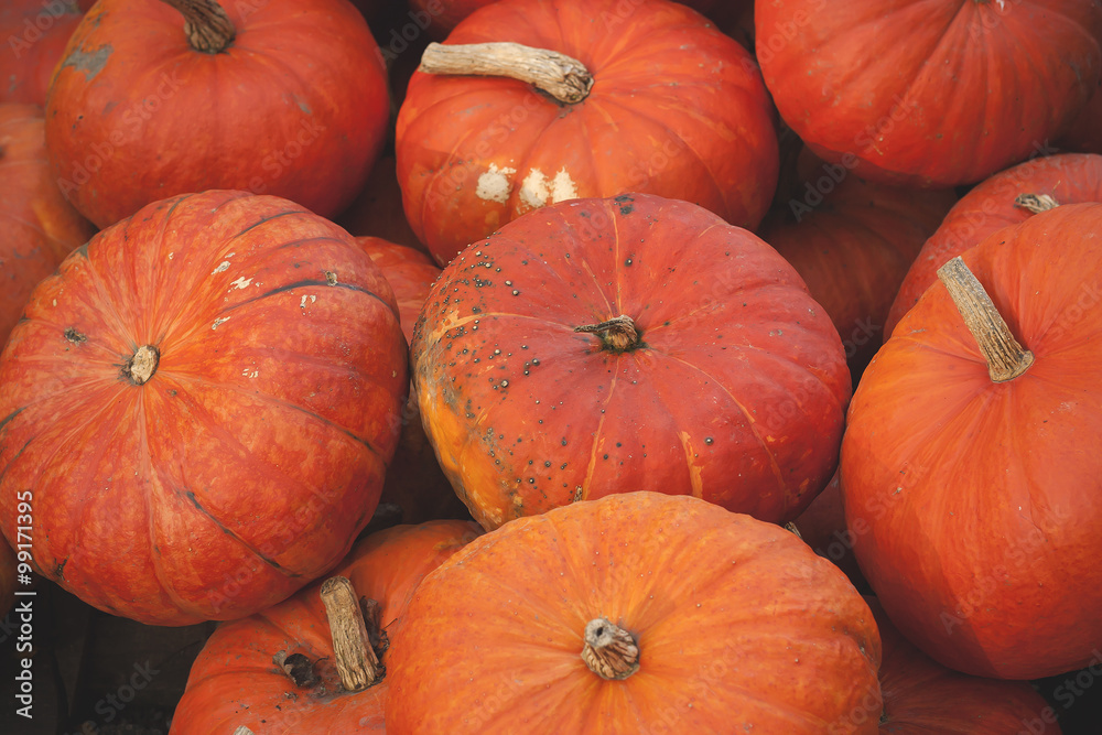 pumpkins pumpkins