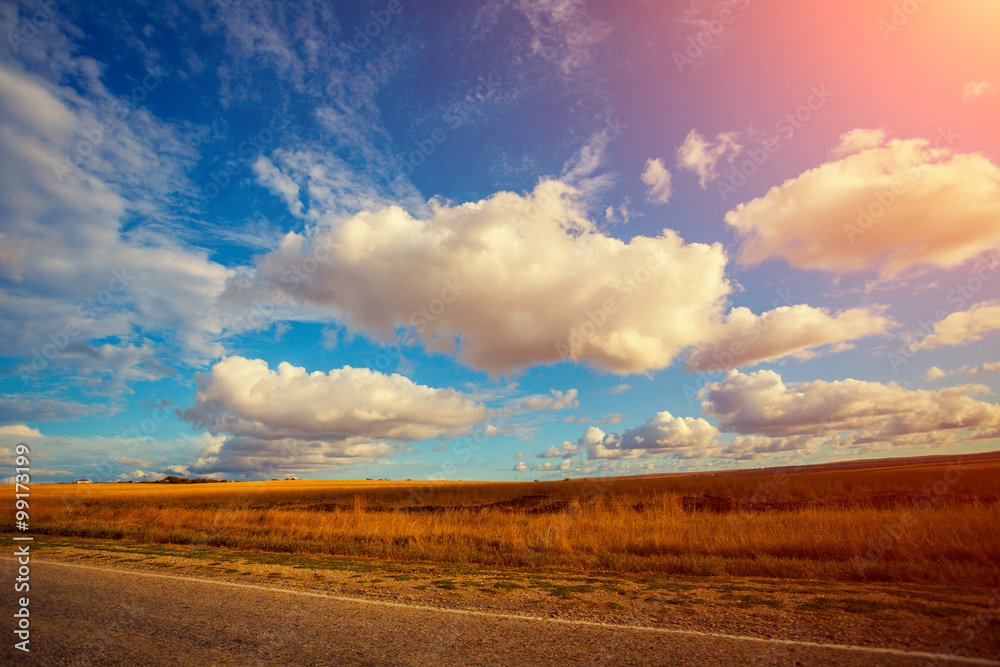 Field with cloudy sky
