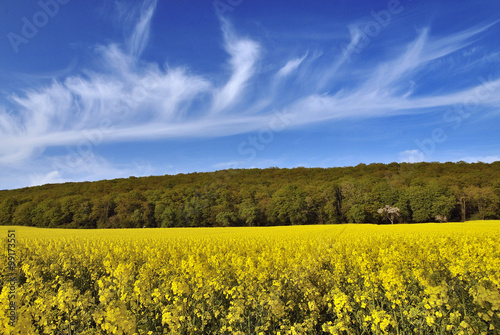 Wolkengebilde über Rapsfeld