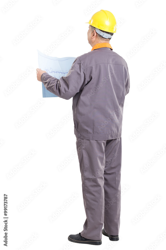 isolated engineer holding blueprint isolated engineer holding blueprint