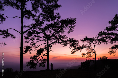 Silhouette of tree and woman standing on cliff to enjoying sunset view. Phukradung Thailand.