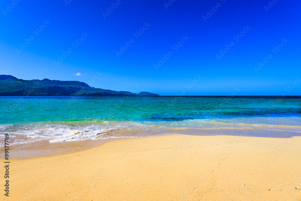 sandy sea beach