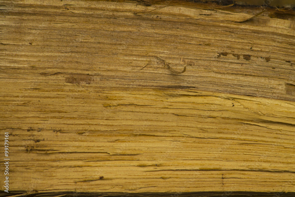 Naklejka premium texture legno