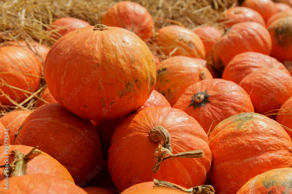 Pumpkins in the straw.