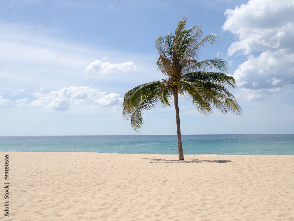Summer time on beach. Green coconut tree on a white sand beach at Kata beach, Phuket, Thailand.