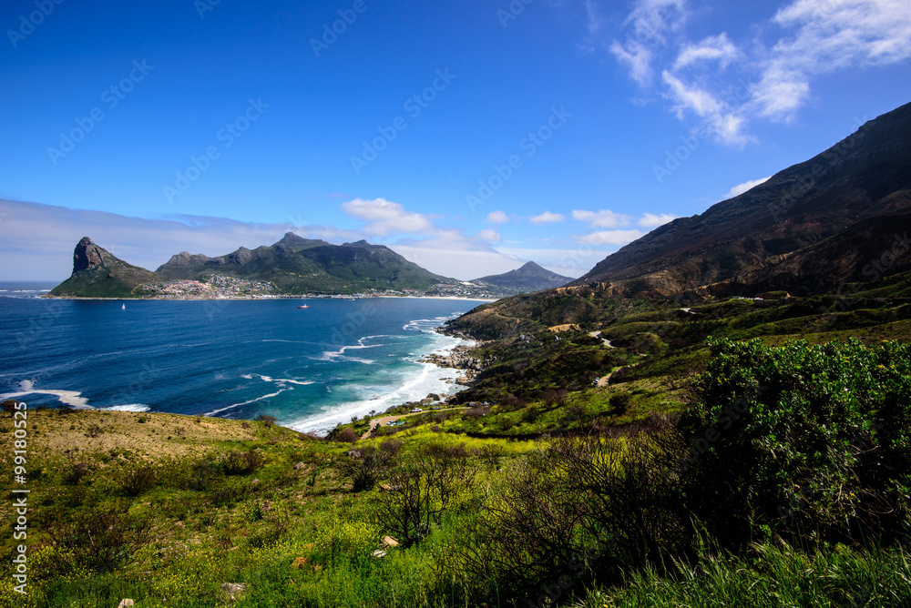 Cape Peninsula ,South Africa