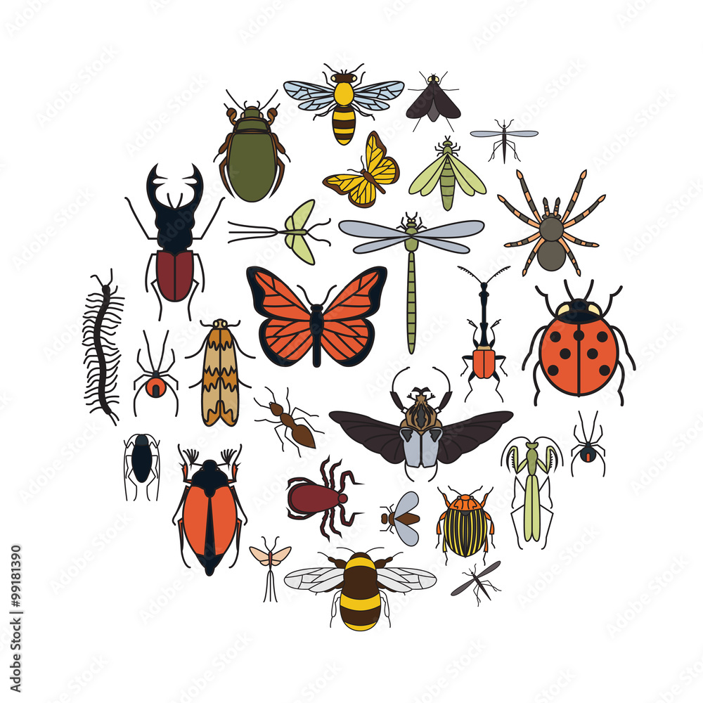 Insects icon flat style. 24 pieces in set. Colour version Insects icon flat style. 24 pieces in set. Colour version