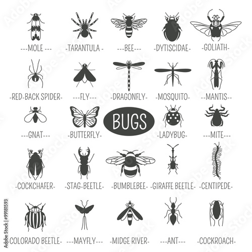 Insects icon flat style. 24 pieces in set. Outline version