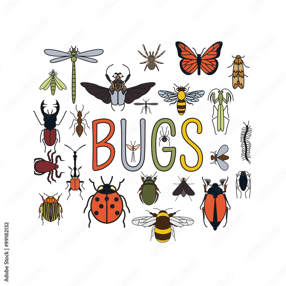Insects icon flat style. 24 pieces in set. Colour version Insects icon flat style. 24 pieces in set. Colour version