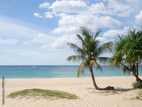 Summer time on beach. Green coconut tree on a white sand beach at Kata beach, Phuket, Thailand. © ieang
