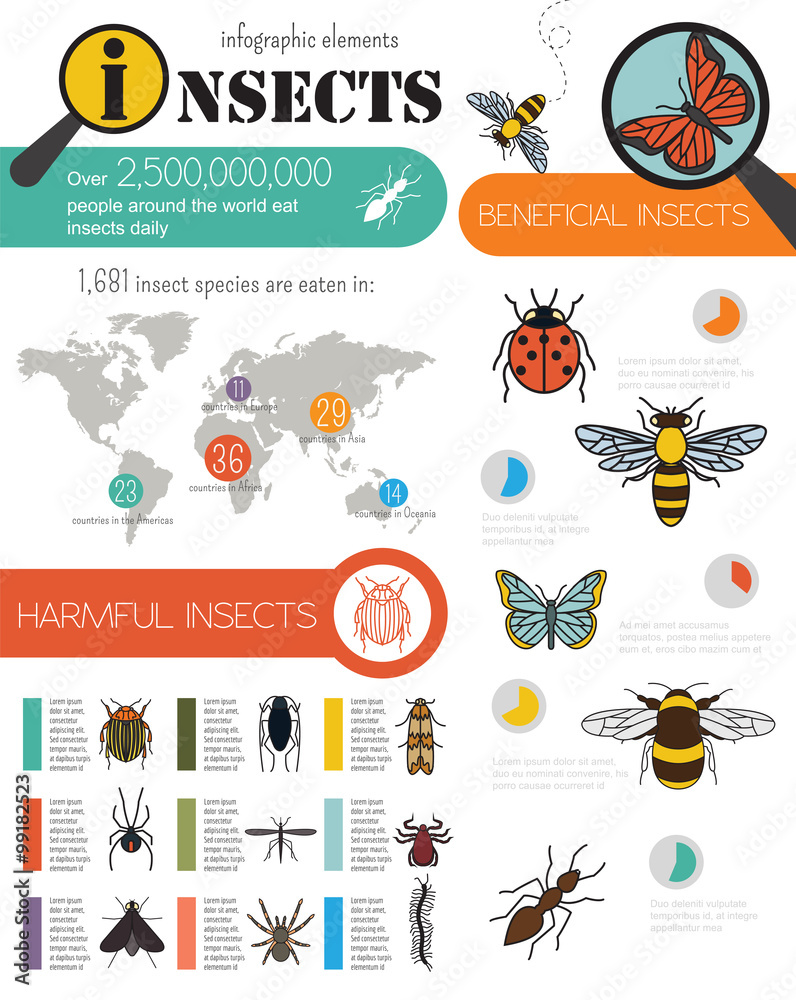 Insects infographic template