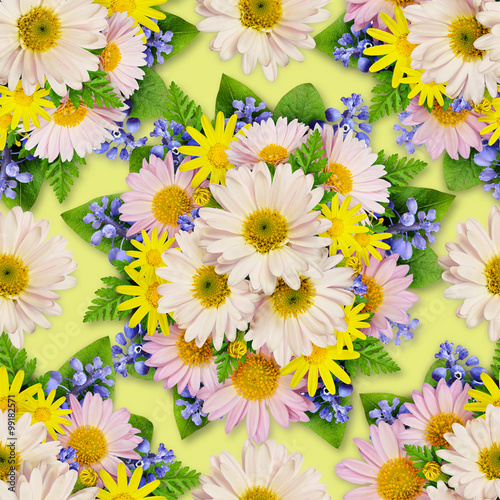 Aster and wild flower seaml...