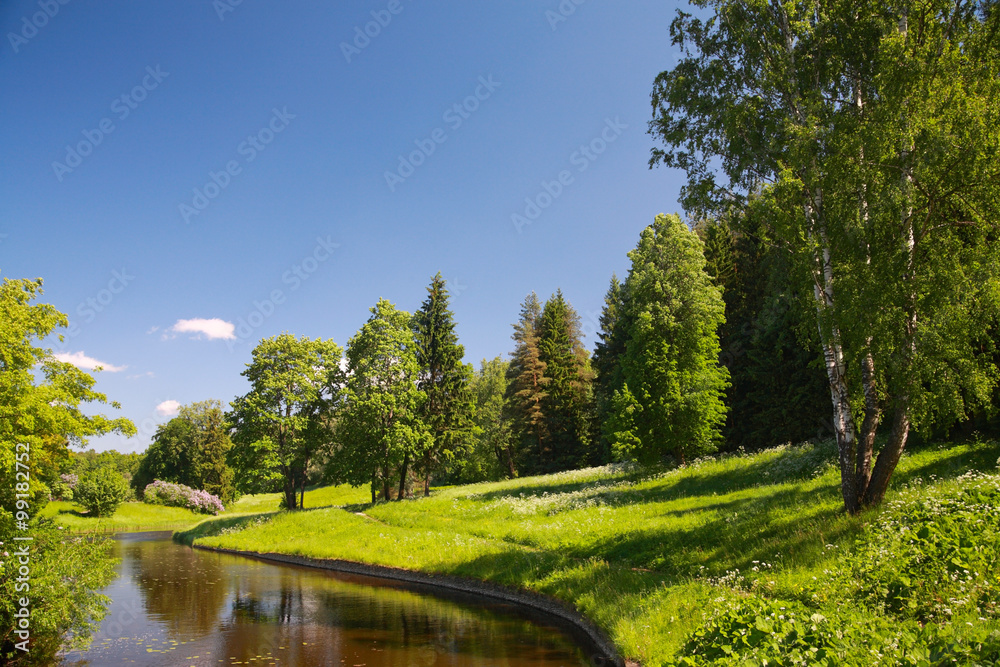 Landscape, Pavlovsk Park Landscape, Pavlovsk Park