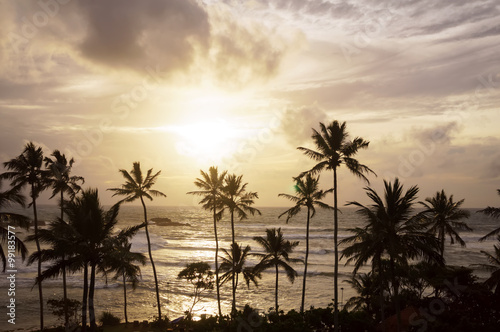 Evening beach with silhouette of palm trees and beautiful sunset