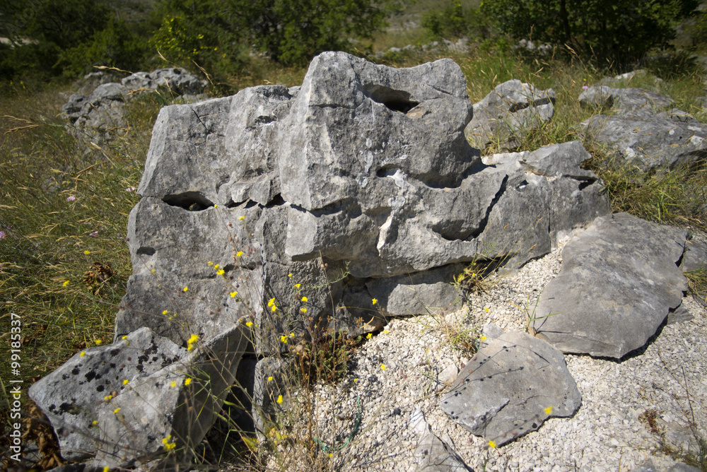 Stones in Dalmatian outback