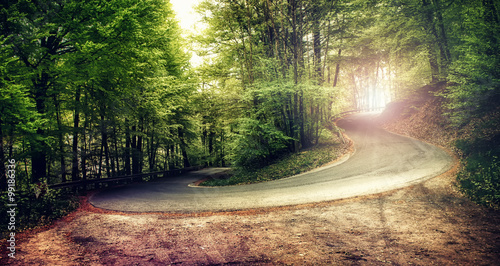Big curve in the forest with sunlight