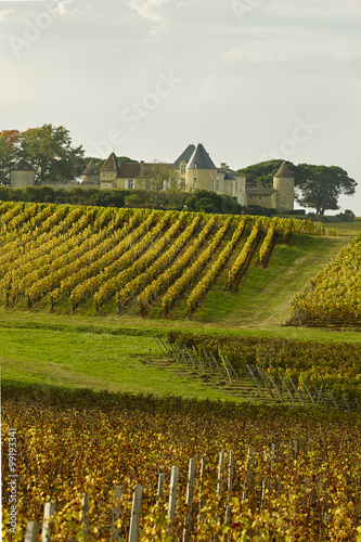 Bordeaux Chateau d Yquem