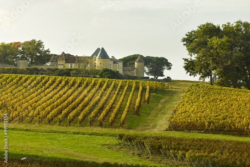 Bordeaux Chateau d Yquem