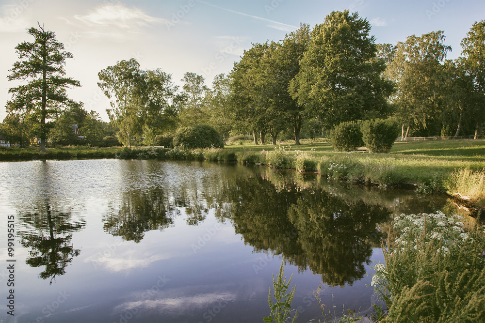 Countryside park pond