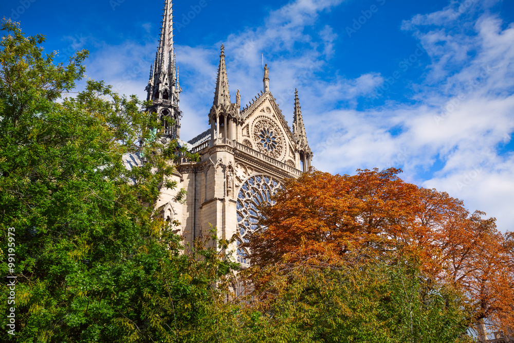 The front of Notre Dame Paris, France