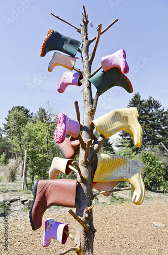 Gummistiefel auf einem kahlen Baum