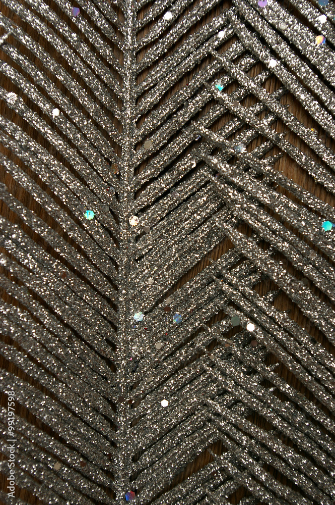 Fototapeta premium Glitter silver feather pattern background