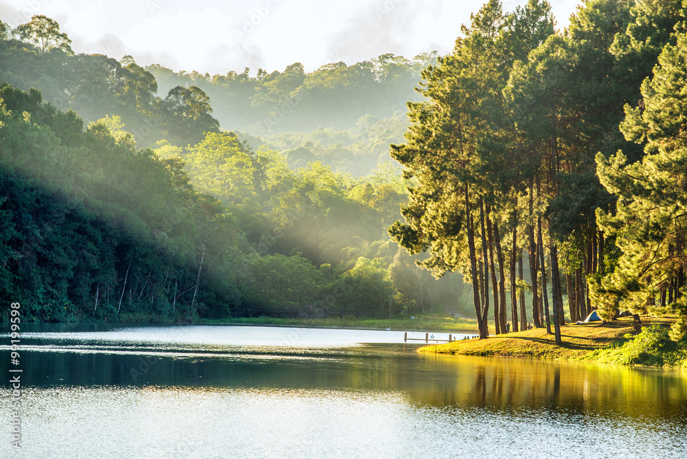 Fototapeta premium pang ung , reflection of pine tree in a lake , meahongson , Thai