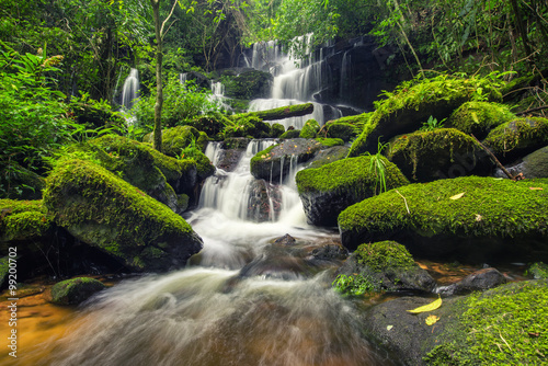 Fototapeta Naklejka Na Ścianę i Meble -  beautiful waterfall in green forest in jungle at phu tub berk mo