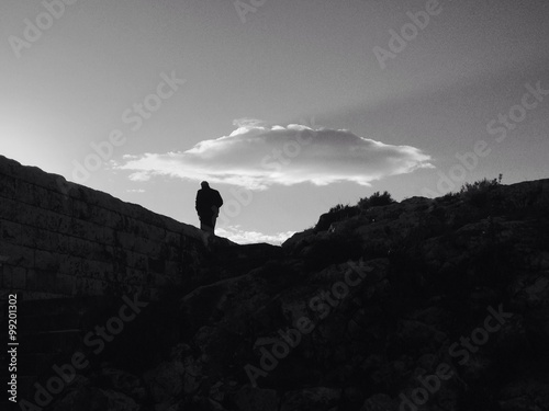 Obraz na plátně Silhouette Solitudine