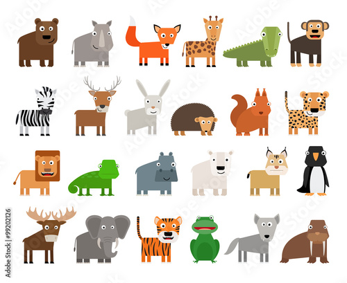 Set of Wild Animals