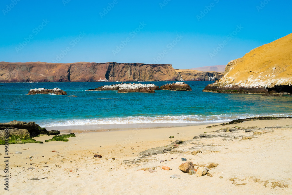 Obraz premium Paracas