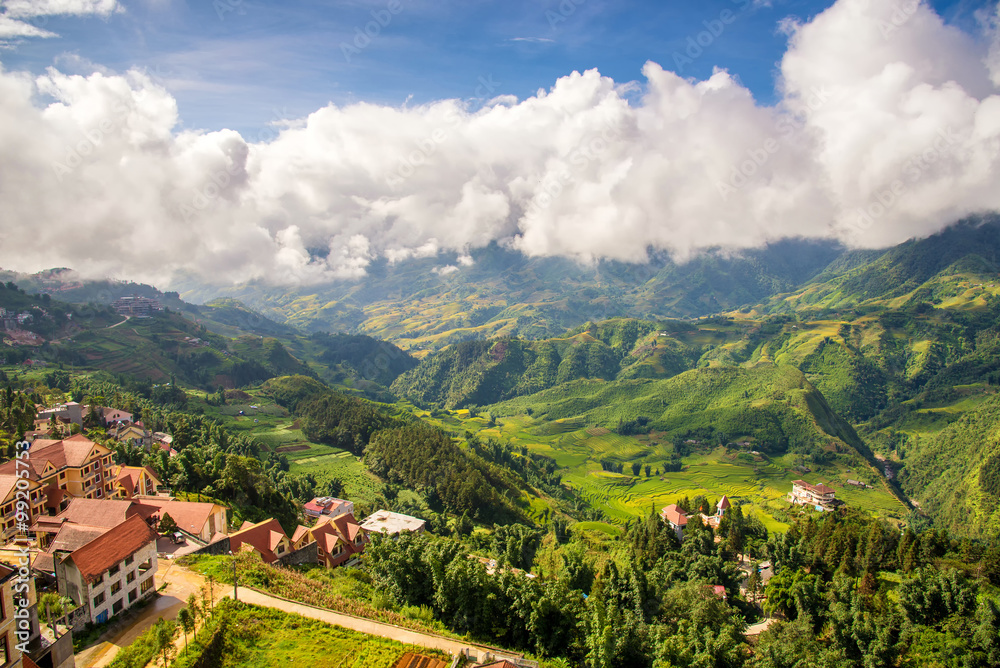 Beautiful landscape view of mountain and riceterrace in Sapa, Vi
