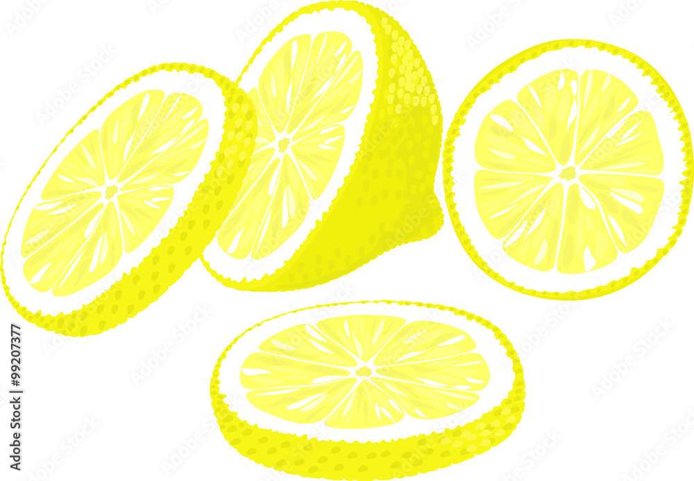 Vector illustration of lemon slices in different angles.