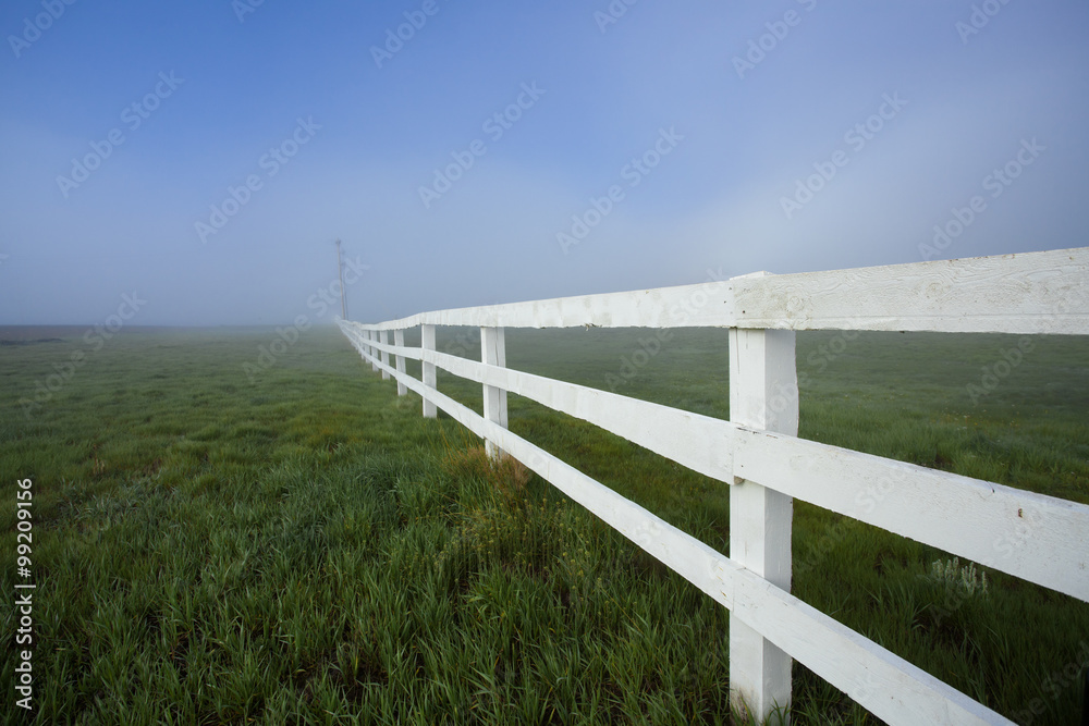 Fototapeta premium White Fence and Fog