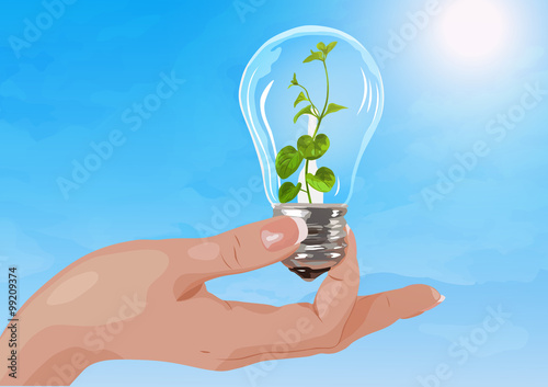 Holding light bulb