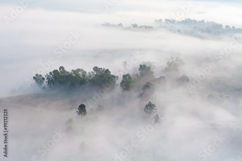 Fog in forest at Khao Takhian Ngo View Point, Khao-kho Phetchabu