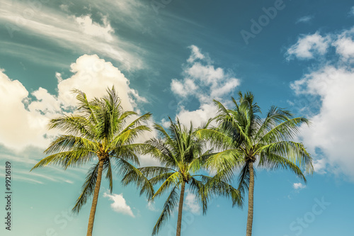 Tropical Palms with vintage color sky