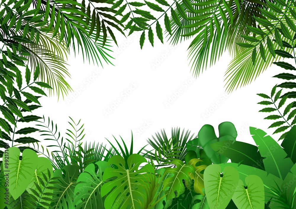 Obraz premium Dżungla na białym tle