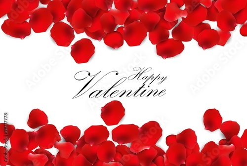 Red rose petals on a white background