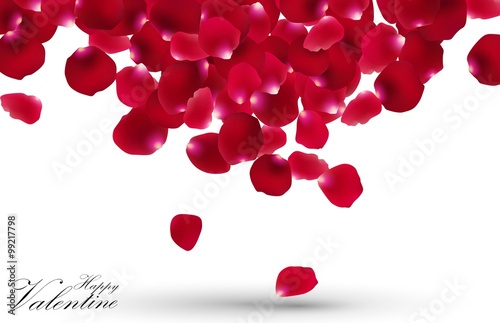 Valentines day with rose petals on white background