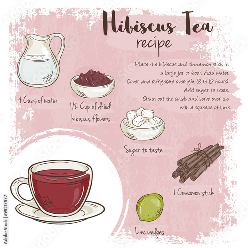 vector hand drawn illustration of hibiscus tea recipe with list of ingredients