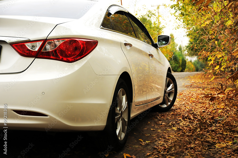 White car and autumn - Белая машина на осеннем фоне