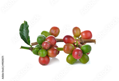 Red coffee beans , ripe berries isolated on white background