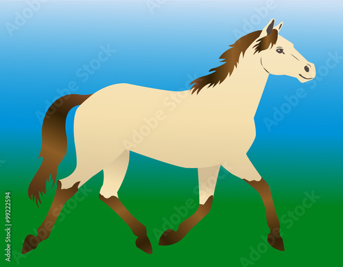 beautiful horse on green background