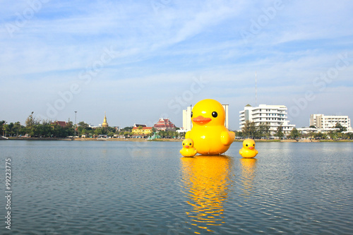 The yellow ducks is the most populars view for photos. The park