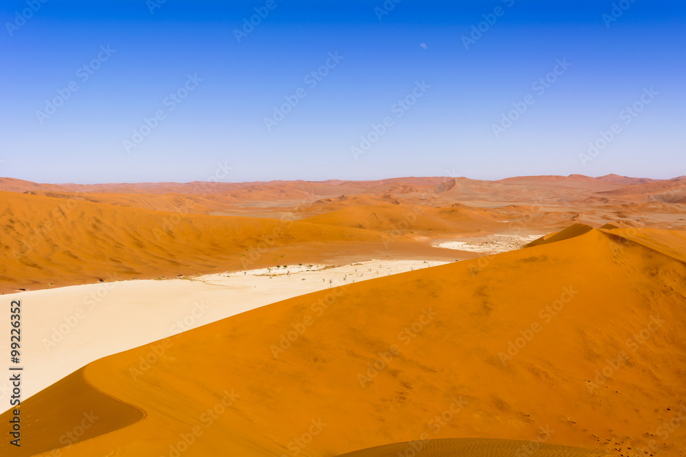 Fototapeta premium ナミブ砂漠